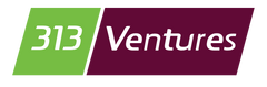 313Ventures
